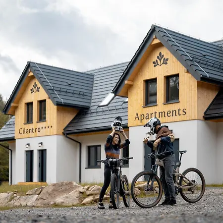 Cilantro * Szklarska Poręba